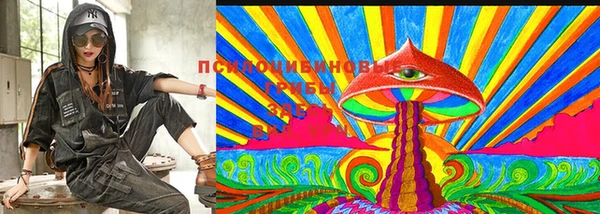 прущие крисы Балахна